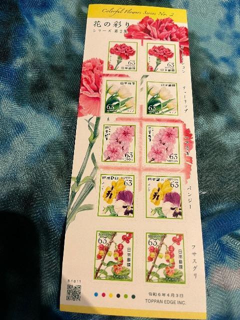 ؎@t̍ʂ@63~ 1V[g@gp@10@V[   zr[ 