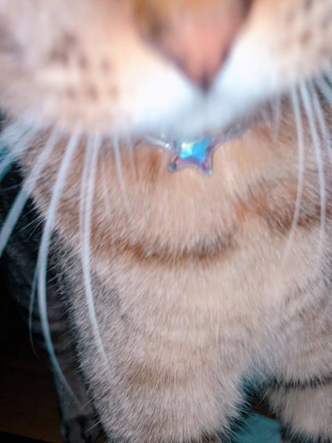 `[ `[J[  lbNX y_g nhCh  ANZT[/v 