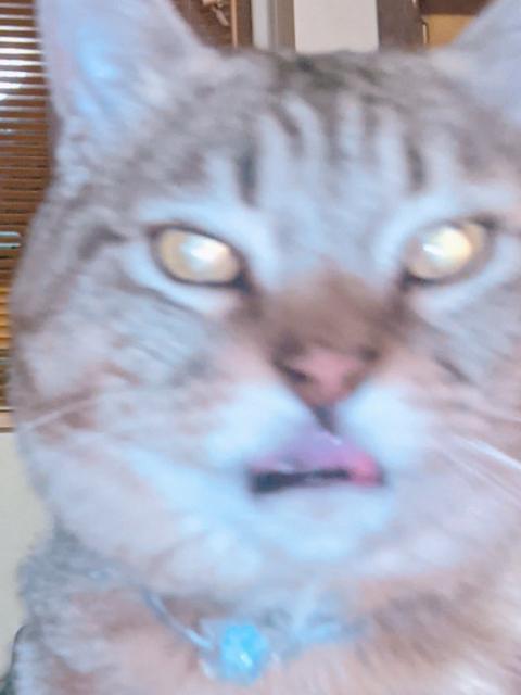 `[ `[J[  lbNX y_g nhCh  ANZT[/v 