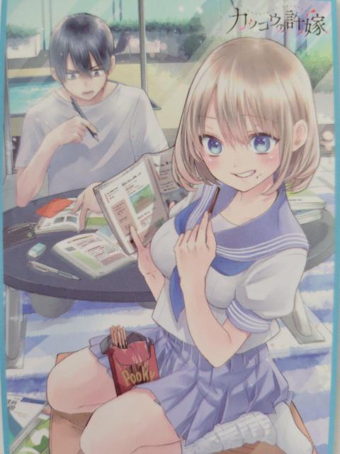 JbRE̋Ł@^I  Aj/R~bN/LN^[ 