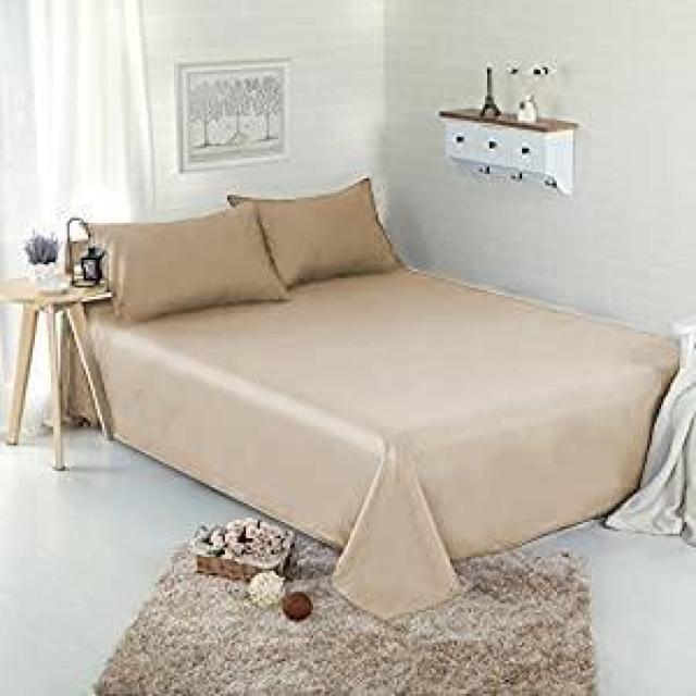 Jo[ QZbg zE s[P[X 43x63cm  킹 ɗD y 􂦂 _炩 (x[W)  CeA/Ct 