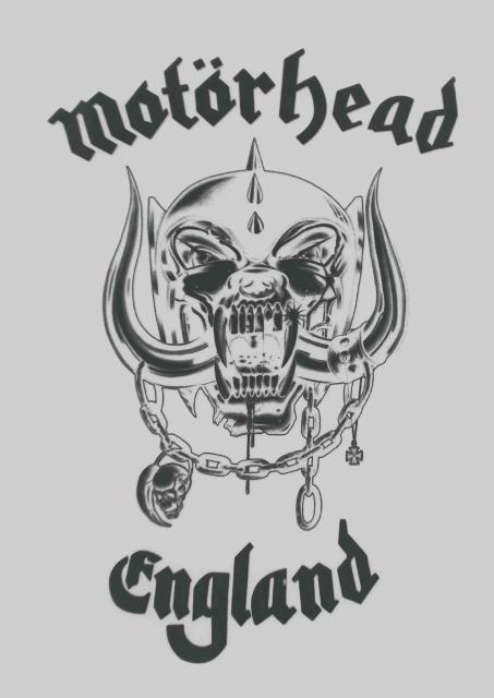 ���[�^�[�w�b�h �@MOTOR HEAD�@����T�V���c�@M�@L�@2L�@3�T�C�Y����I�� �� �j���t�@�b�V������ 