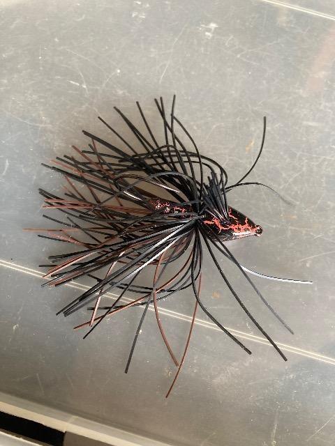 ���O���W�O  �� ���W���[/�X�|�[�c�� 