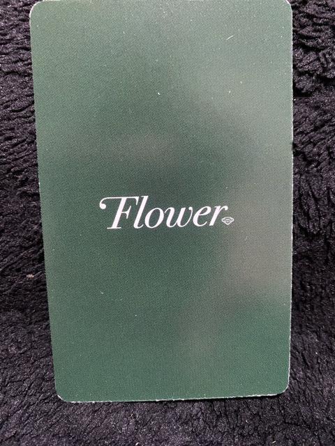 Flower☆メンバー集合トレカB☆ < タレントグッズ  Flower☆メンバー集合トレカB☆ < タレントグッズの