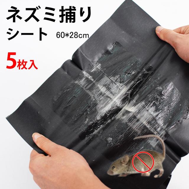 ネズミ捕りシート 5枚セット 60×28cm 強力粘着 ネズミ駆除 フィルム 黒色 シート 折りたたみ 収納可 簡単 設置 回収 < 家電/AV  ネズミ捕りシート 5枚セット 60×28cm 強力粘着 ネズミ駆除 フィルム 黒色 シート 折りたたみ 収納可 簡単 設置 回収  < 家電/AVの
