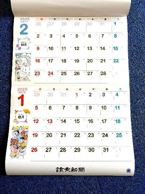 ǔV R{ u2025 ߘa7N YOMIURI CALENDARv J_[ Ǌ|J_[ Vi 9މ  zr[ 