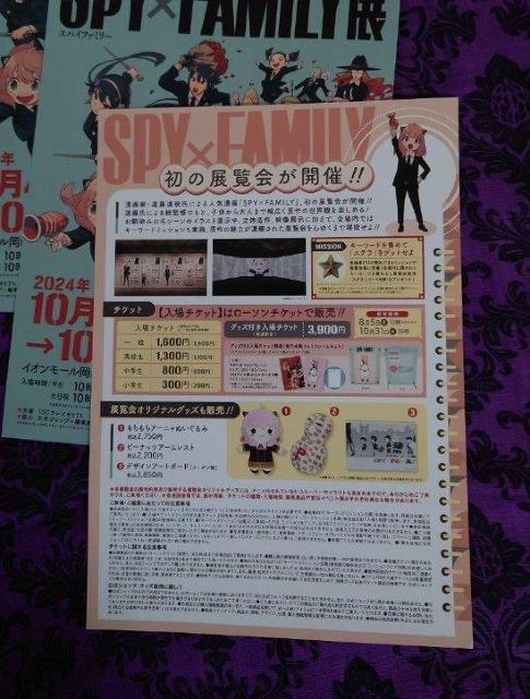 SPY�~FAMILY�W�@�X�p�C�t�@�~���[�@�t���C���[�@�`���V�@5���@���R �� �z�r�[�� 