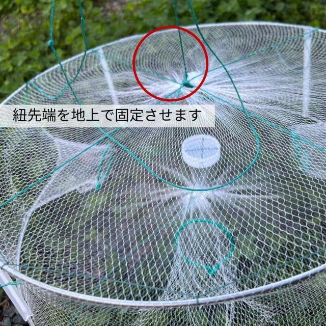 釣具 白網 持ち運び可能 小魚トラップ アジ 小魚 川魚 カニ エビ 追い込み漁 < レジャー/スポーツ  釣具 白網 持ち運び可能 小魚トラップ アジ 小魚 川魚 カニ エビ 追い込み漁 < レジャー/スポーツの