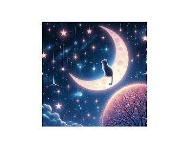 オープンエンド ヘヴィーウェイト Tシャツ星 月 猫 < 女性ファッション オープンエンド ヘヴィーウェイト Tシャツ星 月 猫 < 女性ファッションの