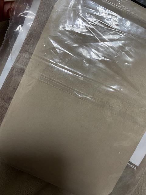 ViAJApXgbLO^Ccg[vO[American ApparelAAp