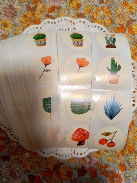 �����������A�����V�[��5�Z�b�g�� 