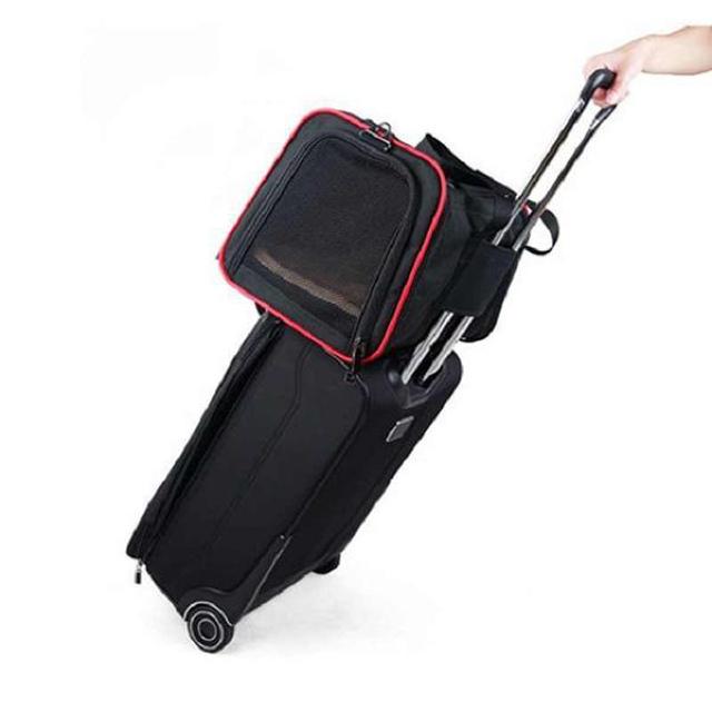 ★4WAY★ ペットキャリー ショルダー テント 小型犬 猫 旅行 通院 ピンク < ペット/手芸/園芸  ★4WAY★ ペットキャリー ショルダー テント 小型犬 猫 旅行 通院 ピンク < ペット/手芸/園芸の