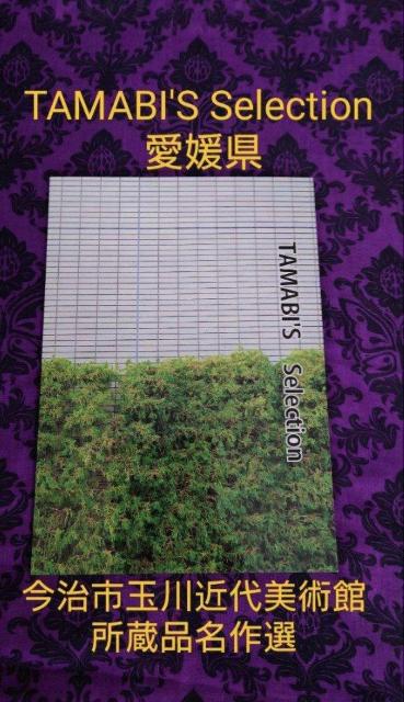 TAMABI'S Selection 愛媛県 今治市玉川近代美術館所蔵品名作選 < 本/雑誌 TAMABI'S Selection 愛媛県 今治市玉川近代美術館所蔵品名作選 < 本/雑誌の