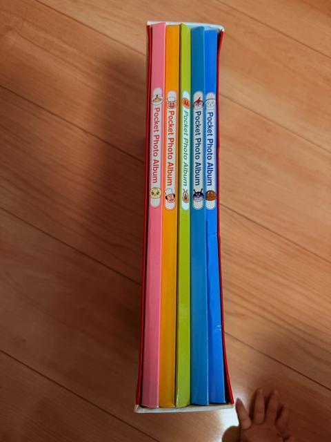 Ap}@Ao@5Zbg  LbY/xr[ 