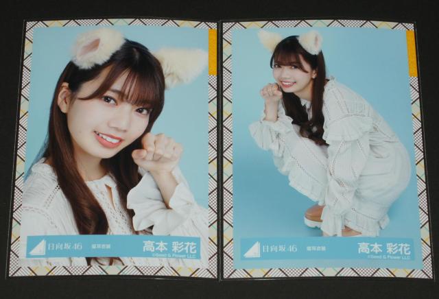 日向坂46  生写真4枚コンプ 高本彩花 猫耳衣装 < タレントグッズ  日向坂46  生写真4枚コンプ 高本彩花 猫耳衣装 < タレントグッズの