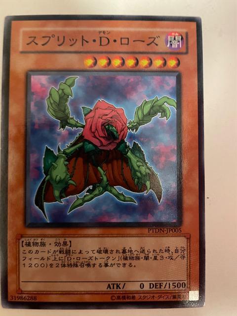 VYyŁEXvbgc[Yz   g[fBOJ[h 