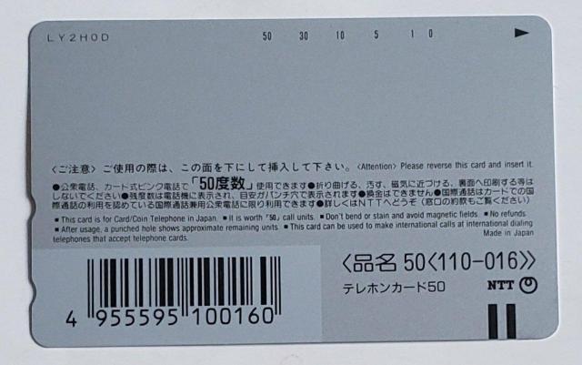 北海道 利尻礼文サロベツ国立公園 稚内 氷雪の門 < ホビー  北海道 利尻礼文サロベツ国立公園 稚内 氷雪の門 < ホビーの