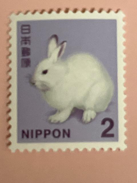 �y�؎�z�Q�~�@���D���������������ɃI�X�X���ł� 