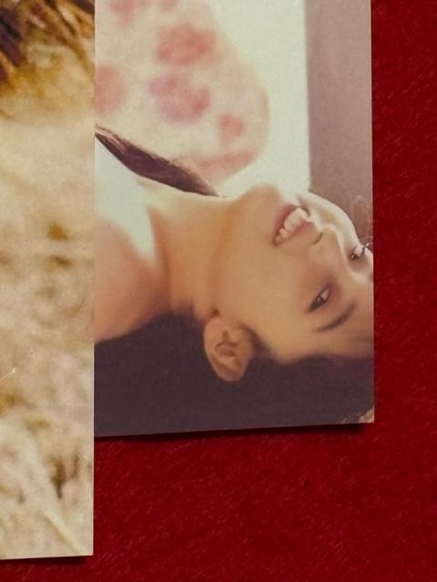 ZNV[D@▃ߎq@|XgJ[h@5@E  ^gObY 