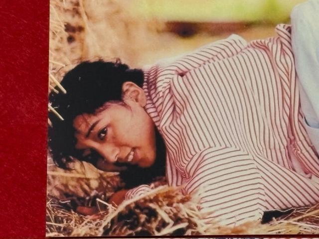 ZNV[D@▃ߎq@|XgJ[h@5@E  ^gObY 