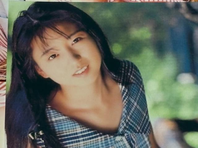 ZNV[D@▃ߎq@|XgJ[h@5@E  ^gObY 