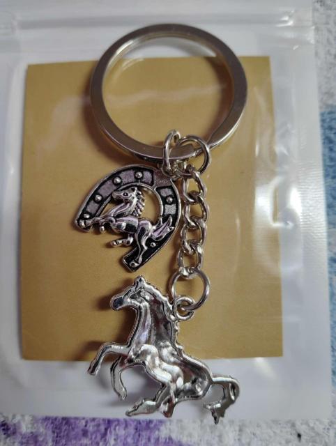 �y�K�^�̒��S���n�z�V���o�[�J���[ �z�[�X �L�[�z���_�[ �n�D�� ��n �����ɂ�  �� �����A�N�Z�T���[/���v�� 