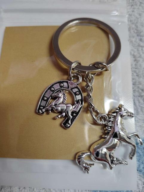 �y�K�^�̒��S���n�z�V���o�[�J���[ �z�[�X �L�[�z���_�[ �n�D�� ��n �����ɂ� �� �����A�N�Z�T���[/���v�� 