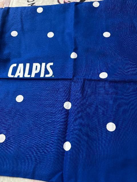 �J���s�X���I���W�i���ł��G�R�o�b�O �� �z�r�[�� 