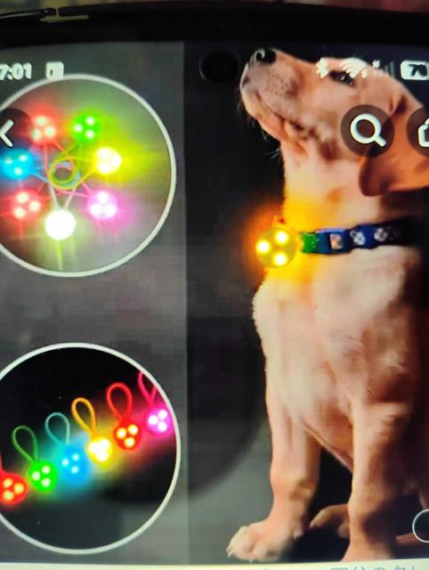 ペット用 LEDライト 首輪チャーム 青色 シリコン製 1個 < ペット/手芸/園芸 ペット用 LEDライト 首輪チャーム 青色 シリコン製 1個 < ペット/手芸/園芸の