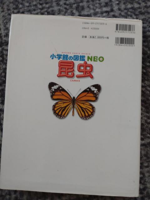 図鑑 NEO  昆虫  中古 送料込商品 値下げ < 本/雑誌  図鑑 NEO  昆虫  中古 送料込商品 値下げ < 本/雑誌の