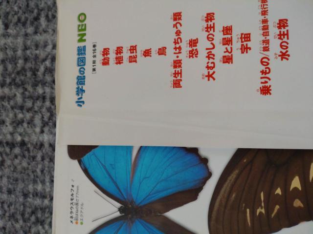 図鑑 NEO  昆虫  中古 送料込商品 値下げ < 本/雑誌  図鑑 NEO  昆虫  中古 送料込商品 値下げ < 本/雑誌の