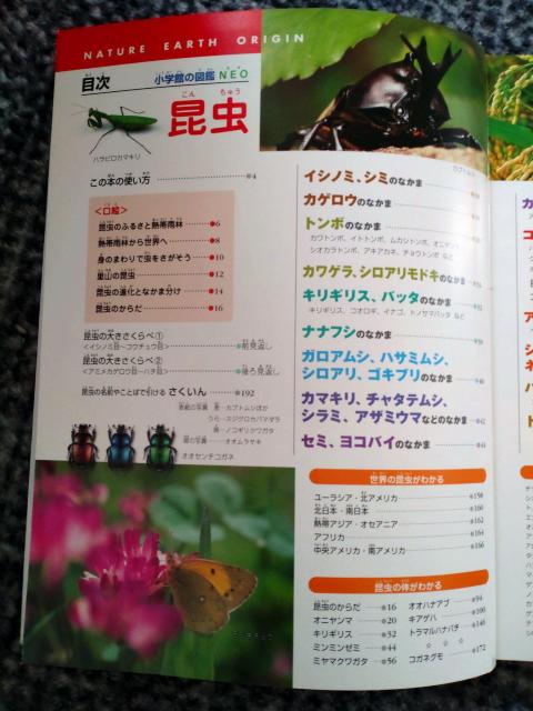 図鑑 NEO  昆虫  中古 送料込商品 値下げ < 本/雑誌  図鑑 NEO  昆虫  中古 送料込商品 値下げ < 本/雑誌の