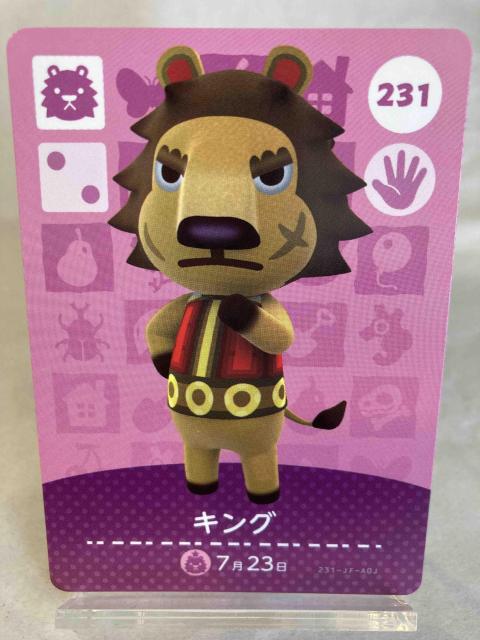 ܂ ǂԂ̐XiXj amiboJ[h LO 