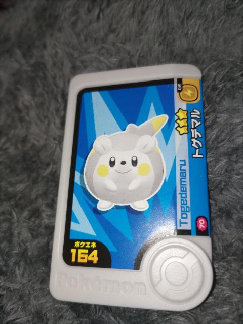 ポケモンフレンダ*トゲデマル*未使用 < トレーディングカード  ポケモンフレンダ*トゲデマル*未使用  < トレーディングカードの