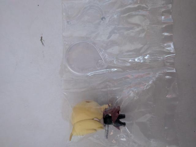 �|�̘B���p�t�Z�t�B�M���A �� �A�j��/�R�~�b�N/�L�����N�^�[�� 