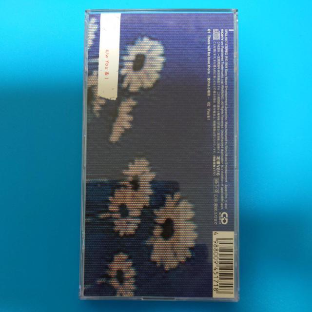 8cmシングルCD◇the brilliant green◇There will be love thereー愛のある場所ー < タレントグッズ  8cmシングルCD◇the brilliant green◇There will be love thereー愛のある場所ー < タレントグッズの