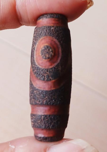 �`�x�b�g �΋��{ ���V�� �� �y�b�g/��|/���|�� 