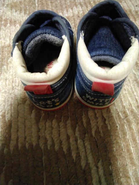 qC   ~LnEX   12cm  LbY/xr[ 