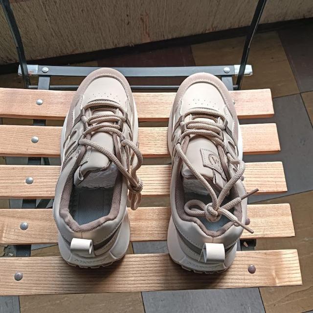 Vi 25cm fB[X Xj[J[ uE V[Y C  jp  t@bV 