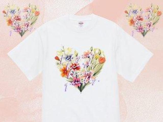 I[vGh wB[EFCg TVcn[g@ԁ@Jt   t@bV 