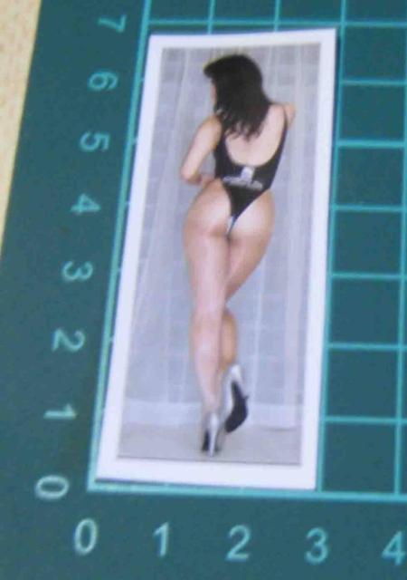 �Z�N�V�[�����̌��p�@�X�e�b�J�[  �� �z�r�[�� 