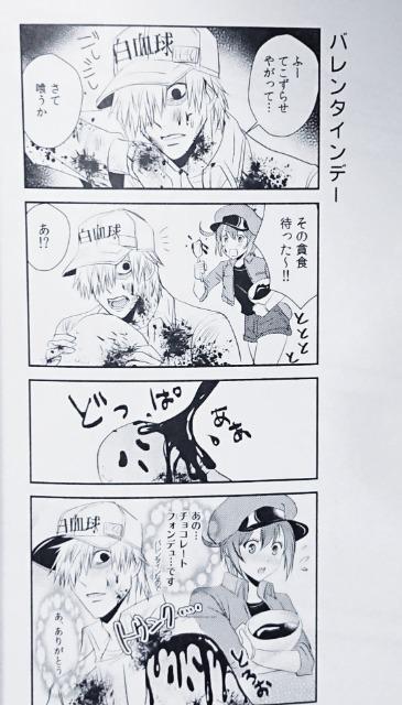 はたらく細胞同人誌「SIROAKA COMIC」《白血球×赤血球》 < アニメ/コミック/キャラクター  はたらく細胞同人誌「SIROAKA COMIC」《白血球×赤血球》 < アニメ/コミック/キャラクターの