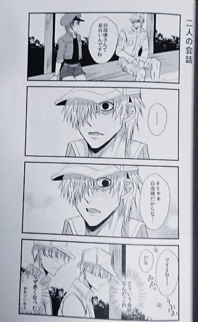 はたらく細胞同人誌「SIROAKA COMIC」《白血球×赤血球》 < アニメ/コミック/キャラクター  はたらく細胞同人誌「SIROAKA COMIC」《白血球×赤血球》 < アニメ/コミック/キャラクターの