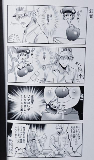はたらく細胞同人誌「SIROAKA COMIC」《白血球×赤血球》 < アニメ/コミック/キャラクター  はたらく細胞同人誌「SIROAKA COMIC」《白血球×赤血球》 < アニメ/コミック/キャラクターの