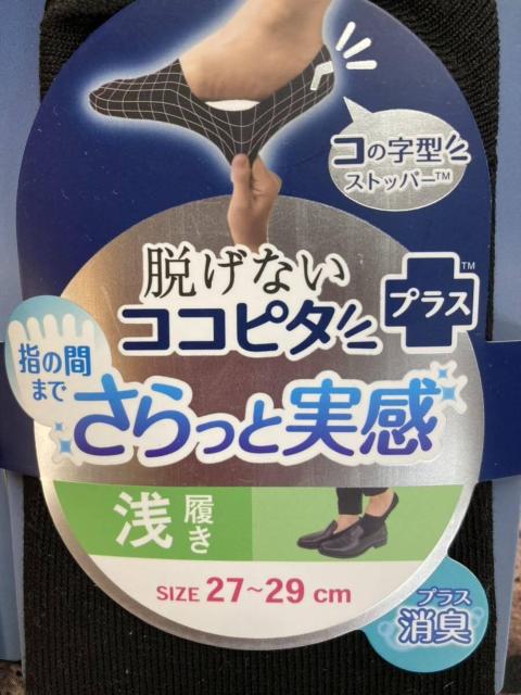 s傫TCYtwQgxyIJgzEȂsRRs^tƎIjIC΍T{wtbgJo[  jt@bV 