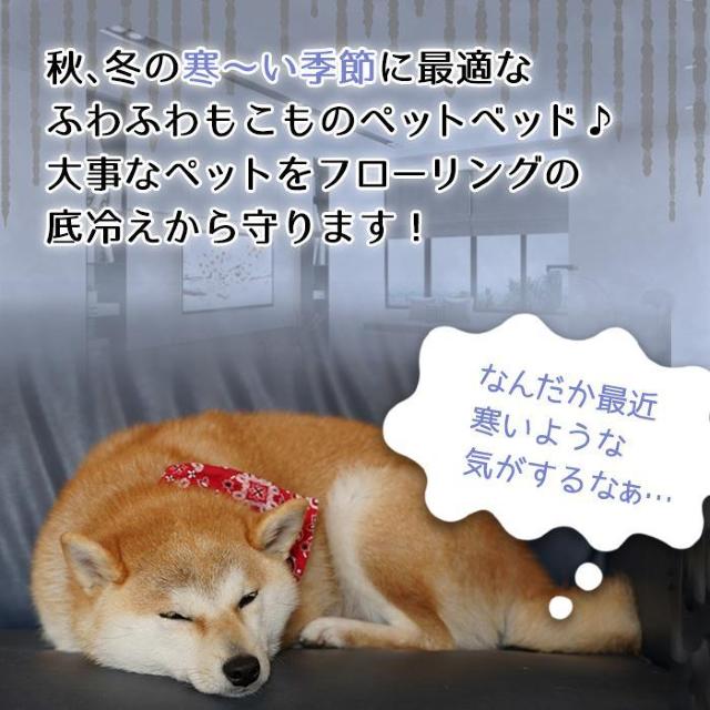 ★丸洗い◎★ ペットベッド Lサイズ ソファ クッション 黒 他カラー有 < ペット/手芸/園芸  ★丸洗い◎★ ペットベッド Lサイズ ソファ クッション 黒 他カラー有 < ペット/手芸/園芸の