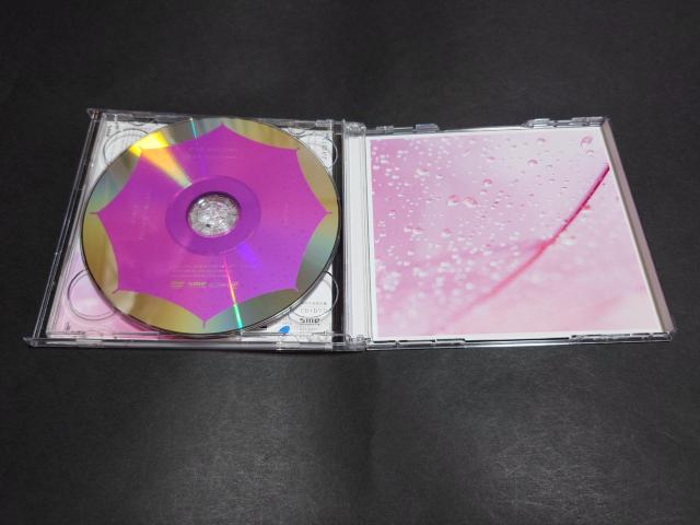 Ref:rain/眩いばかり(初回生産限定盤)/Aimer (エメ) / 帯付き 恋は雨上がりのように 恋雨 < タレントグッズ Ref:rain/眩いばかり(初回生産限定盤)/Aimer (エメ) / 帯付き 恋は雨上がりのように 恋雨 < タレントグッズの