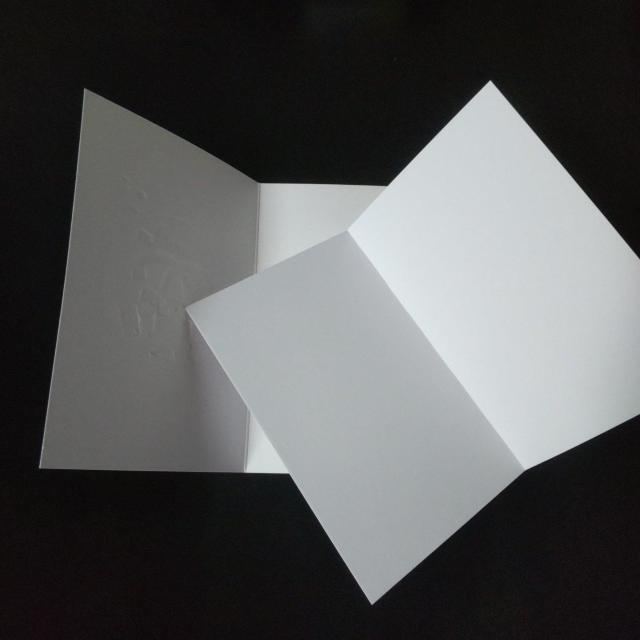 2023N CHANELy zf[ zbZ[WJ[h S_  uh 