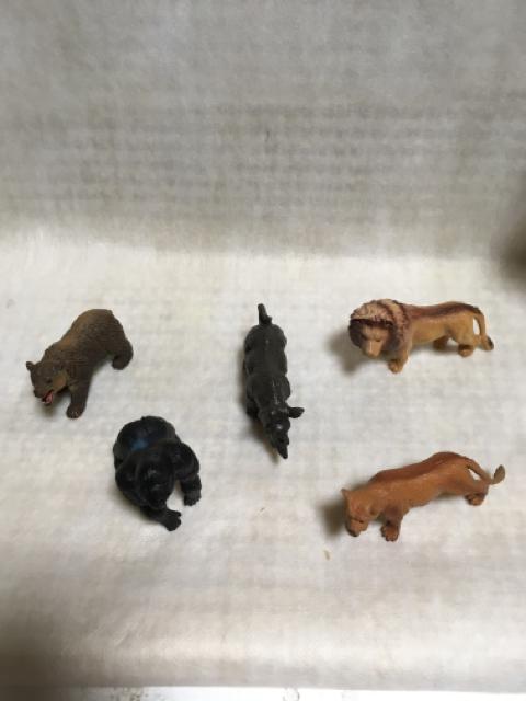 ※動物フィギュア < ホビー  ※動物フィギュア < ホビーの