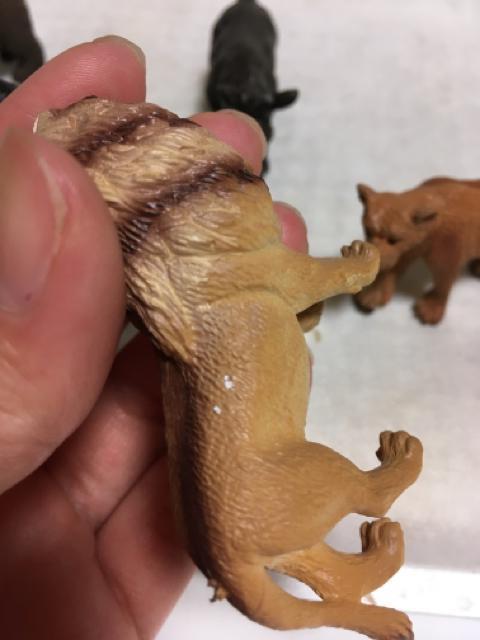 ※動物フィギュア < ホビー  ※動物フィギュア < ホビーの